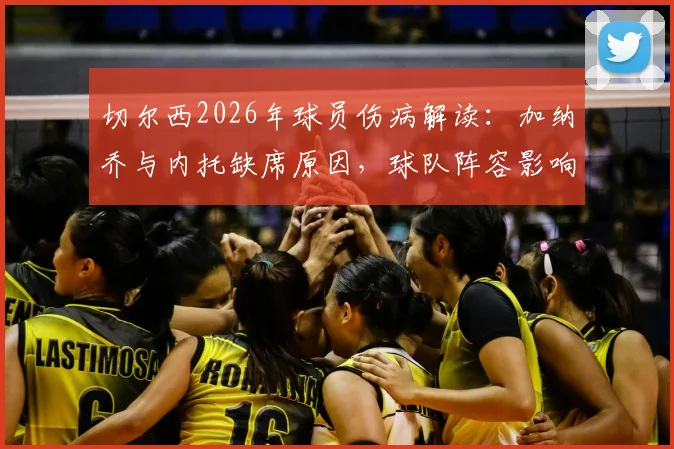 切尔西2026年球员伤病解读：加纳乔与内托缺席原因，球队阵容影响与后续应对