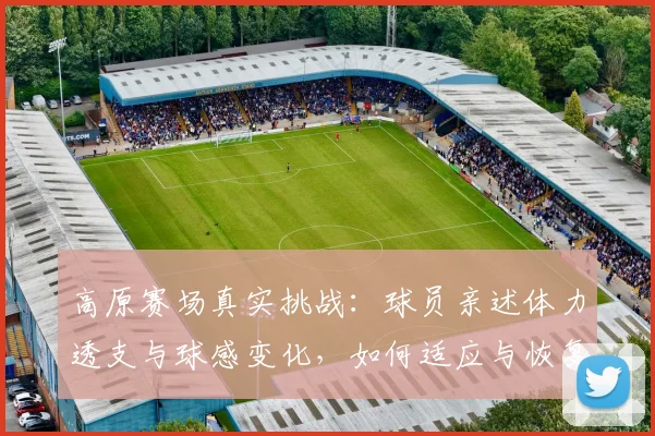 高原赛场真实挑战：球员亲述体力透支与球感变化，如何适应与恢复？